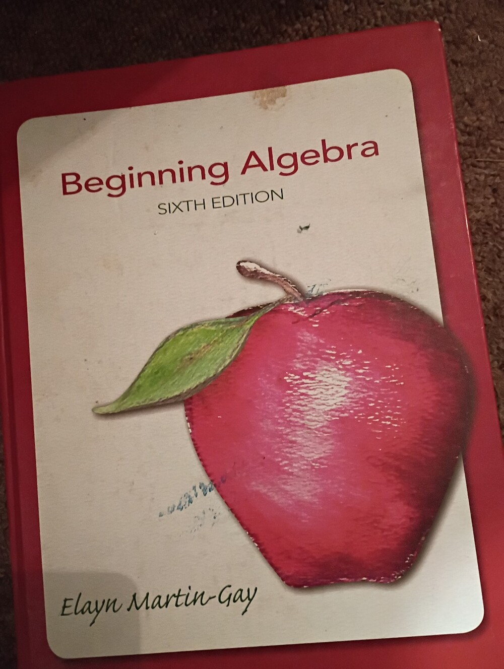 Beginning Algebra Sixth Edition Elayn Martin Gay Used